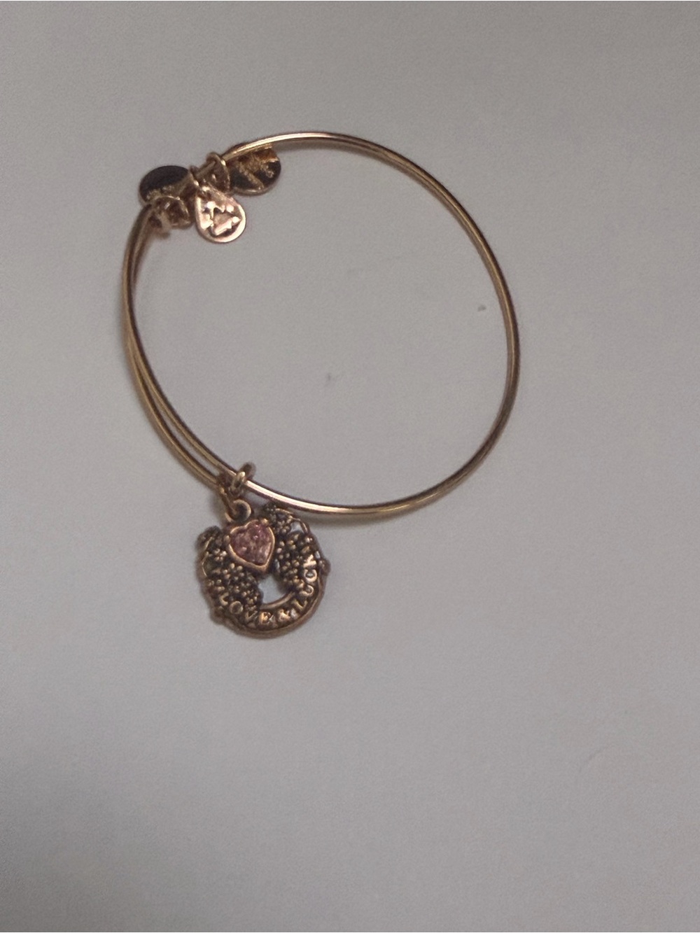 Love and Luck Horse Shoe Charm Bangle Bracelet with Pink Accent Alex and Ani